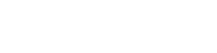 Quick Karls Hand Car Wash & Mobile Detailing